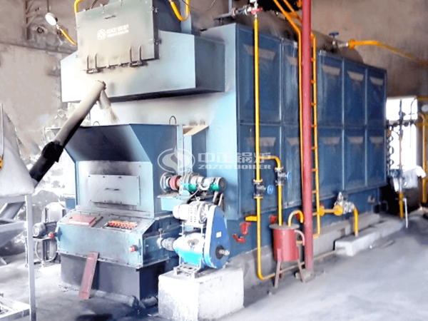 4tph DZL series biomass-fired packaged steam boiler project for photovoltaic industry