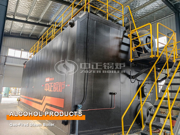 30-Ton Steam Boiler with Dual Fuels of Biogas and Natural Gas Project