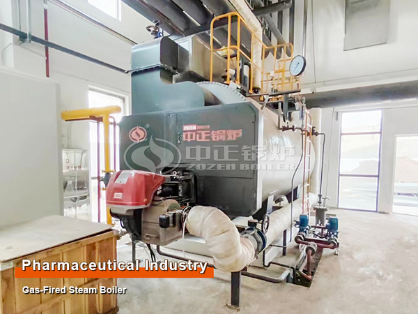 Pharmaceutical Industry 4 Ton Gas-fired Steam Boiler Project