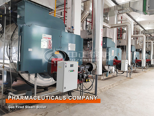 Medical Industry 4-Ton 6-Ton Gas and Oil Fire Tube Steam Boilers Project