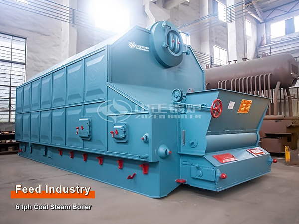 ZOZEN 6-Ton Coal Steam Boiler for Feed Plant in Indonesia