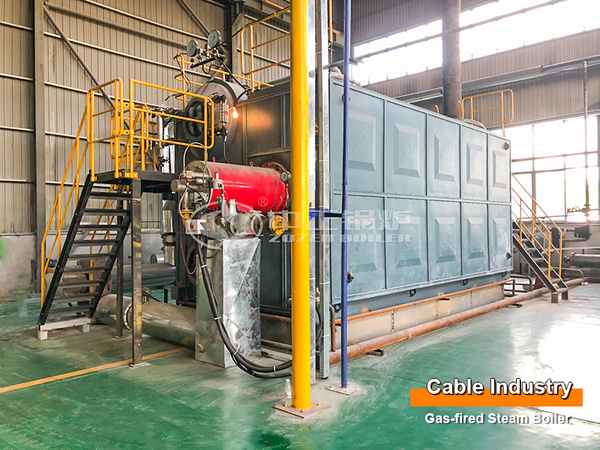 6-Ton Condensing Gas-fired Steam Boiler Project For Cable Industry