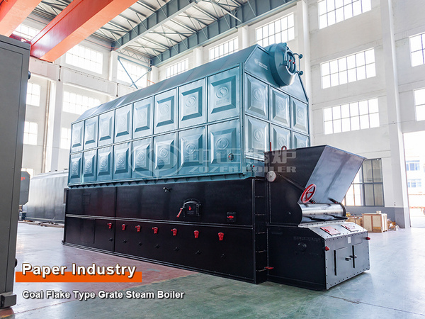 Export to Indonesia: 10T Flake Type Grate Steam Boiler for Corrugated Paper Factory