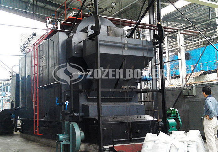 Boiler for the pharmaceutical industry