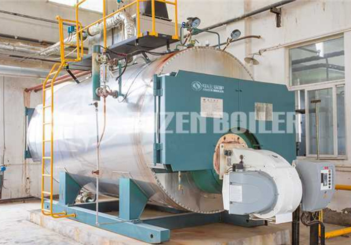 Boiler for the wine industry