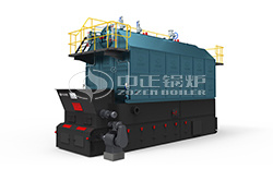 Biomass-fired boilers